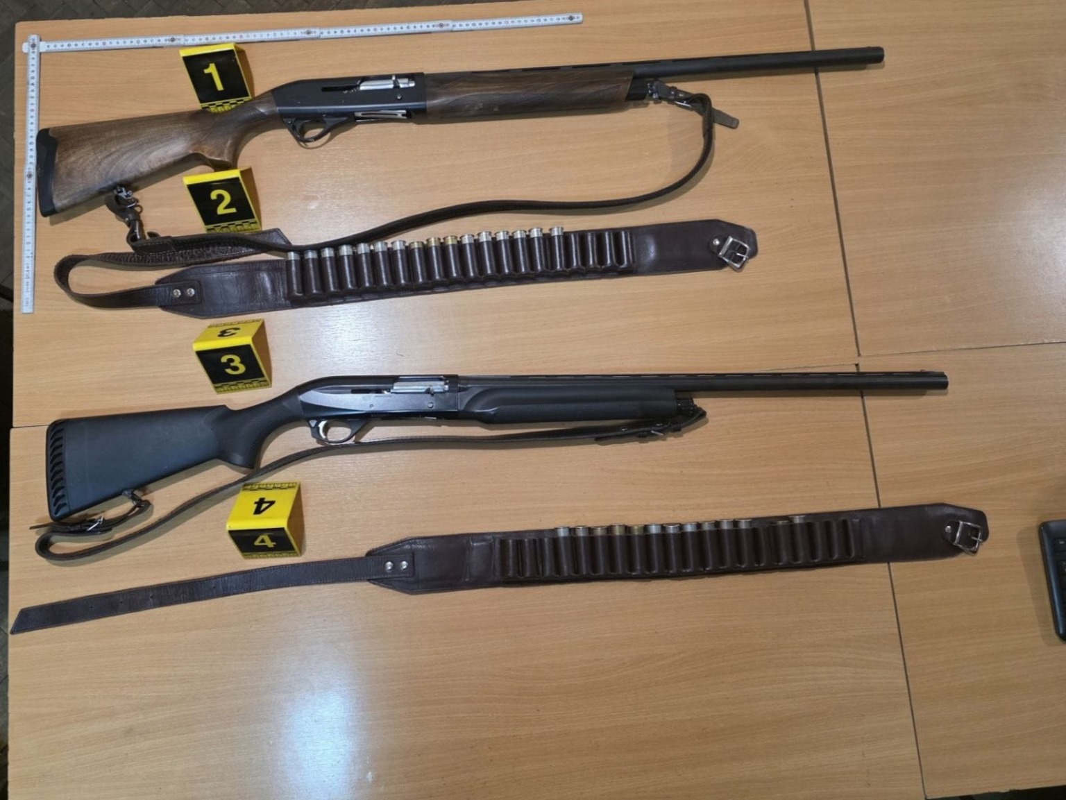 Bjelopoljac osumnjičen da je pokušao da ubije psa lutalicu pa ranio brata