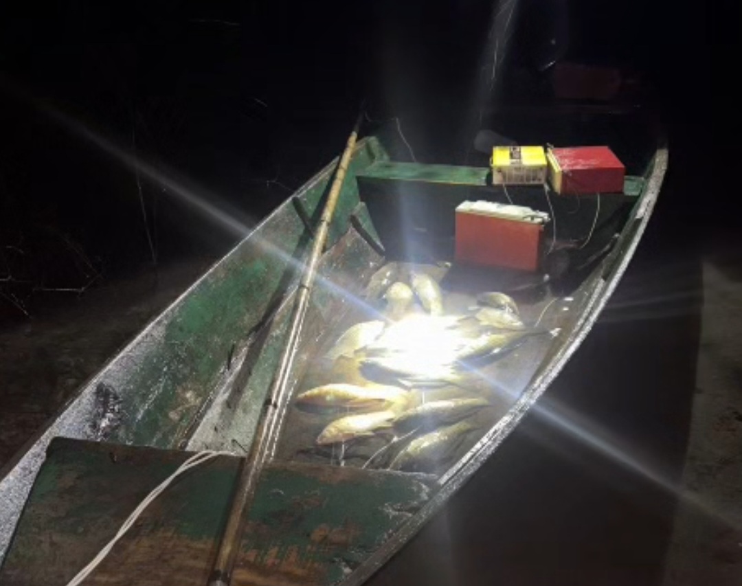 Krivolov na Skadarskom jezeru: Oduzeta plovila, motori i 60 kilograma ribe