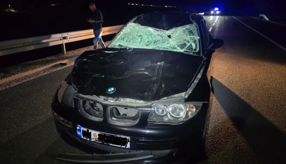 Automobil naletio na govedo, povrijeđena jedna osoba