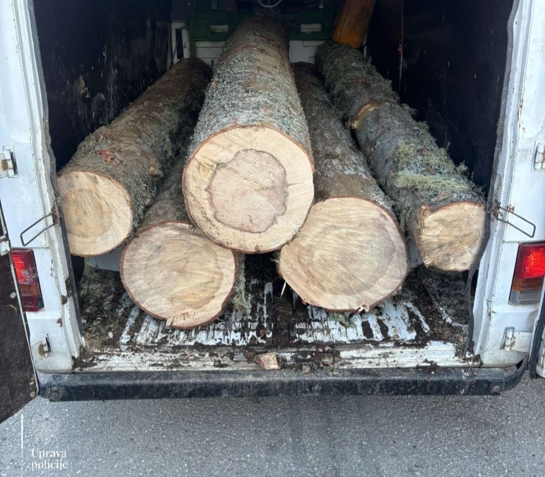 Krivična prijava protiv Beranca, u vozilu pronađeno pet čamovih trupaca bez dokumentacije